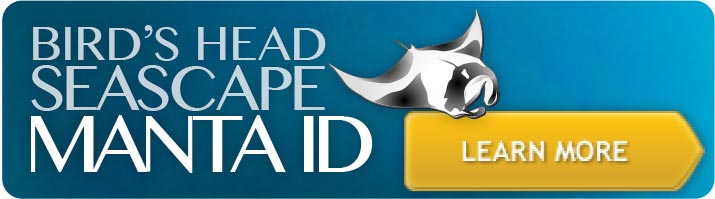 Manta ID - Learn More!